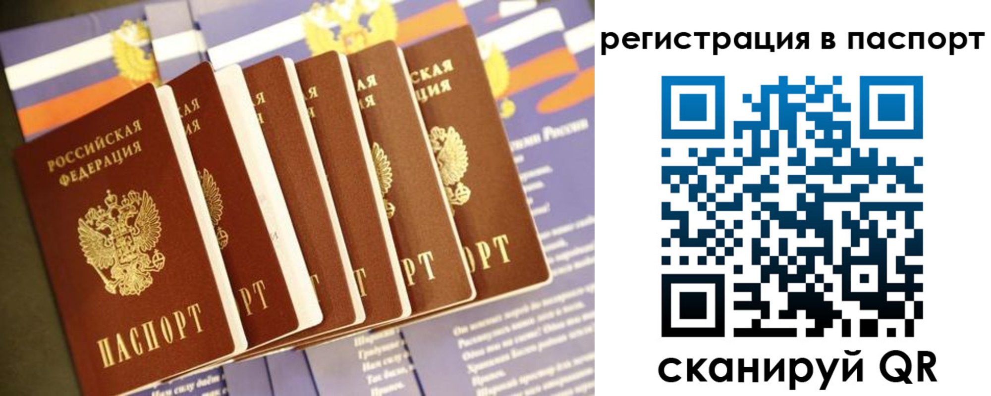 прописка ребенка в Палласовке